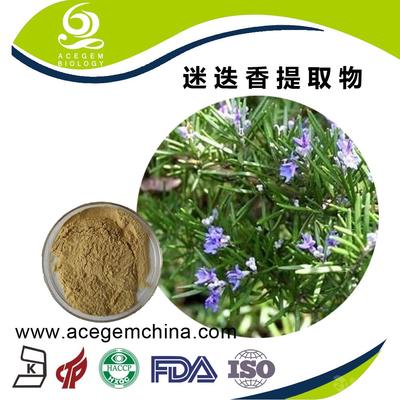 專業迷迭香提取物 中國蕪湖艾森格，天然香料的卓越之選