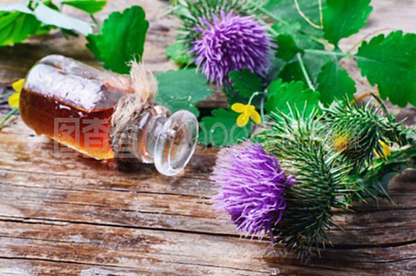 花卉與牛羚提取物 自然饋贈的植物精華及其應用探析